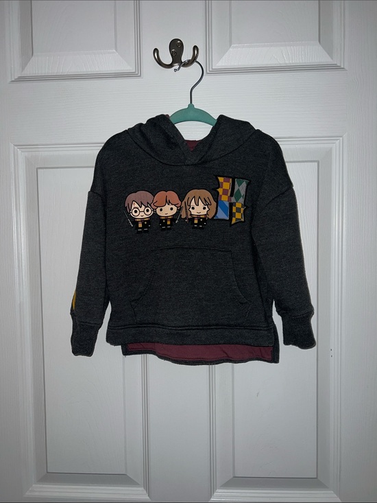 Wizarding World Of Harry Potter Other - Kids Dark Gray Character Pullover Hoodie with Crest Accent